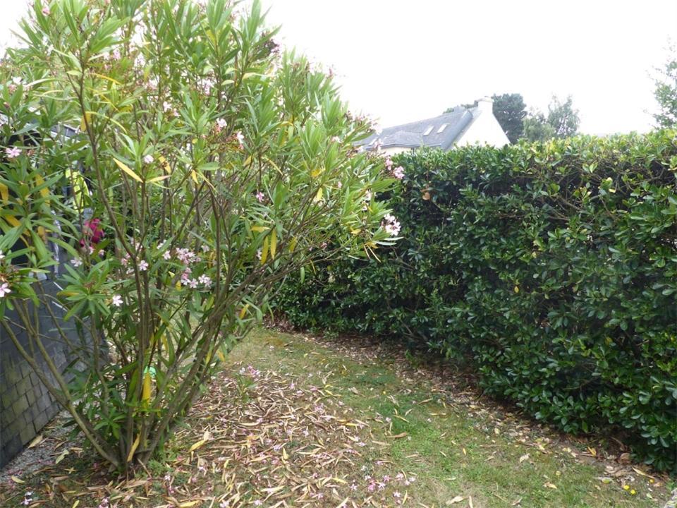 Port An Dro 1 - Wifi, Jardin, Plage 200M - K295 Carnac Exterior foto